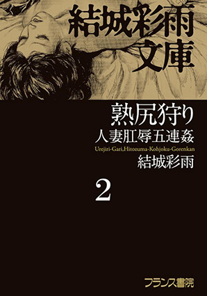 電子書籍　作品