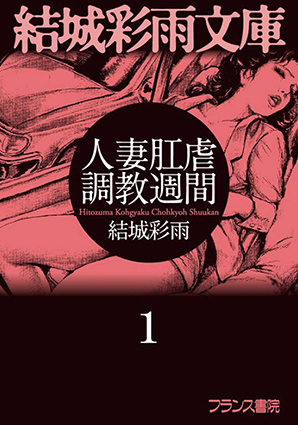 電子書籍　作品