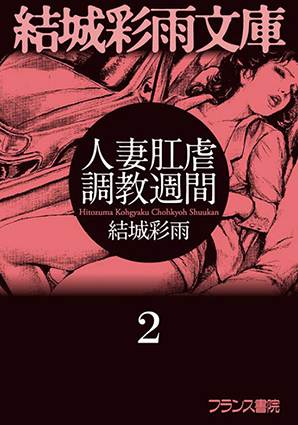 電子書籍　作品