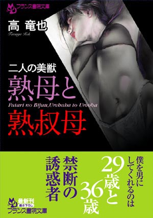 電子書籍　作品
