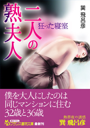電子書籍　作品