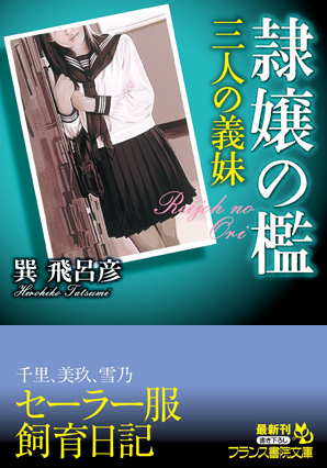 電子書籍　作品