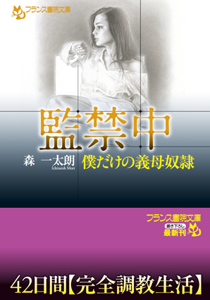 電子書籍　作品