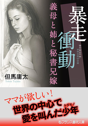 電子書籍　作品