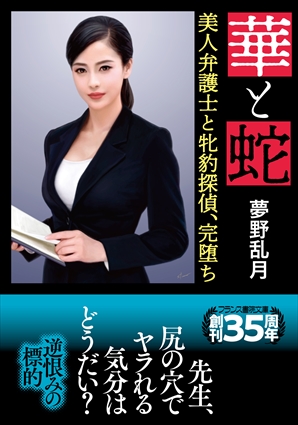 電子書籍　作品