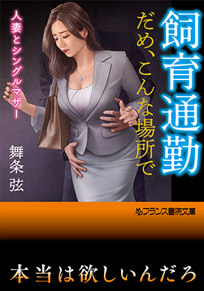電子書籍　作品