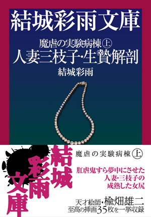 電子書籍　作品