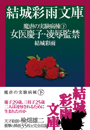 電子書籍　作品