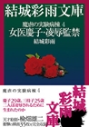 電子書籍　作品